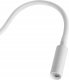 Kinkiet TK Lighting Tk Lighting Lagos 5921 kinkiet lampa ścienna 1x6W G9 biały 2