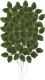 Gardlov Sztuczne liście 47cm- zestaw 12szt. Gardlov 22557 4