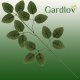 Gardlov Sztuczne liście 47cm- zestaw 12szt. Gardlov 22557 9