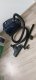 Odkurzacz Bosch Bosch Series 4 BGD38BU2, canister vacuum cleaner (dark blue) 5