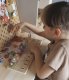 Viga Toys Drewniane Liczydło Sorter Nauka Liczb Montessori 3