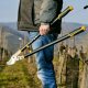 Bosch Alpen WEISSHORN 280 Lopper 4