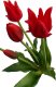 Saska Garden BUKIET 5 OTWARTYCH TULIPANÓW CZERWONYCH 40CM JAK ŻYWYCH DEKORACJA WIOSENNA 4