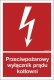 Mój dom Przeciwpożarowy Wyłącznik Prądu Kotłowni 10X15 Ps Libres Polska Sp Bb024_100X148_Ps 5904937052895 1