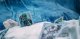 Bicycle Bicycle: World of Warcraft - Wrath of the Lich King 5