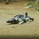 Figurka Transformers TOY TRANSFORMER ROBOT-WEAPON 7.5CM 25