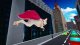 DC LIGA SUPERPETS: Przygody Krypto i Asa PL/ENG (NSW) 3