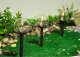 Oprawa schodowa Saska Garden LAMPA SOLARNA KULA OZDOBNA 10X34.5CM 3