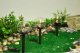 Oprawa schodowa Saska Garden LAMPA SOLARNA KULA OZDOBNA 10X34.5CM 6