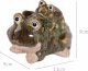 ProGarden Figurka żaba, dekoracja ogrodowa, 10 x 11 cm 6