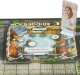 Hasbro HASBROGAMING Gaming Stalo žaidimas Bridgerton 6