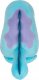 Jazwares POKEMON PLUSH 30 CM QUAGSIRE 1