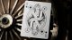 Bicycle Karty Yellowstone Theory11 6
