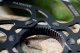 Shimano TARCZA HAMULCOWA GALFER 203MM, CENTER LOCK 1
