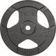 Rebel Obciążenie żeliwne 20kg, otwór 31mm, talerz z uchwytami, REBEL ACTIVE 1