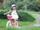 Royalbaby RoyalBaby Rower dziewczęcy STAR GIRL 14cal niebieski RB14G-1 9