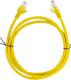 Lanberg Patchcord, Cat6, nieekranowany, 1m, żółty (PCU6-10CC-0100-Y) 2