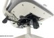 Signal Fotel ergonomiczny ERGON szary 8