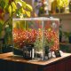 Aquarius Aquario Professional 2.0 CO2 komplektas su 5L balionu 6