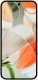 Smartfon Google Pixel 9 - 256 GB - Porcelain 1