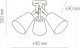 Lampa sufitowa TK Lighting CEILING LUM. VAIO NATURE* 3 574 2