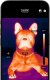 Seek Thermal Kamera termowizyjna Nano 300 CQ-DBAX dla Android z USB-C 320x240, 25hz 4