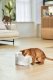 Catlink Inteligentna fontanna/poidło dla psa i kota Catlink Pure 3 Przewodowe (białe) 5