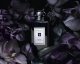 Jo Malone JO MALONE Dark Amber &amp; Ginger Lily EDC spray 100ml 7
