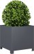 vidaXL Donica ogrodowa, antracytowa, 40x40x40 cm, stalowa 3