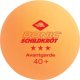 Donic DS PIŁ. AVANTGARDE Poly 40+ 6szt. 2