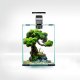 Triton AQUAEL Zestaw Aquael Shrimp Set Smart Day & Night [10l] - czarny 1