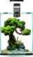 Triton AQUAEL Zestaw Aquael Shrimp Set Smart Day & Night [10l] - czarny 2
