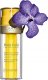 CLARINS_Aroma Plant Gold Face Treatment Oil olejek do twarzy 35ml 1