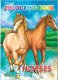 Vrige Malebog A4 Horses 16 strony 1