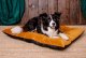 Mimikoko MIMIKO Pets Legowisko Poducha Velvet 100x70cm musztarda 2