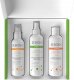 SEBORH_SET Zestaw na łojotokowe zapalenie skóry szampon 200ml + emulsja 200ml + płyn do skóry głowy 150ml 2