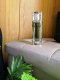 RASASI Fattan Pour Homme EDP spray 50ml 15