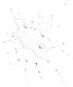Clarins Cleansing Micellar Water Oczyszczający płyn micelarny z ekstraktami z ziół alpejskich 200ml 3