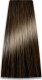 Chantal Prosalon Professional Intensis Color Art Profesjonalna Farba do włosów nr 7.00 podwójny blond 100g 1