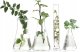 Erboristica ERBORISTICA_Purysens krem do twarzy 50ml 3
