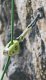 Przyrząd ohm ii-oasis EDELRID 9