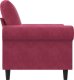 vidaXL vidaXL Fotel, winna czerwień, 60 cm, obity aksamitem 5