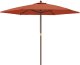vidaXL vidaXL Parasol ogrodowy na drewnianym słupku, terakotowy, 299x240 cm 2