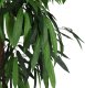 vidaXL Sztuczne drzewko mango, 1050 liści, 200 cm, zielone 3