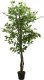 vidaXL Sztuczny fikus, 756 liści, 150 cm, zielony 1