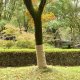 vidaXL Tkanina jutowa w rolce, 1x50 m, 100% juta, 200 g/m 1