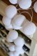 Dekoracja świąteczna Cotton Love Zestaw lampek Cotton Balls All White - 10 Lampek () - CB All White10 13
