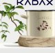 Kadax KADAX Garnek Emaliowany Indukcja Gaz 22cm 6L 4
