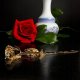 Lassig Naturalna Pozłacana Róża - 24K GOLDEN ROSE DELUXE 6
