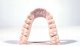 Phrozen Żywica Monocure3D PORCELENE Dental model R Almond 0,5 kg 2